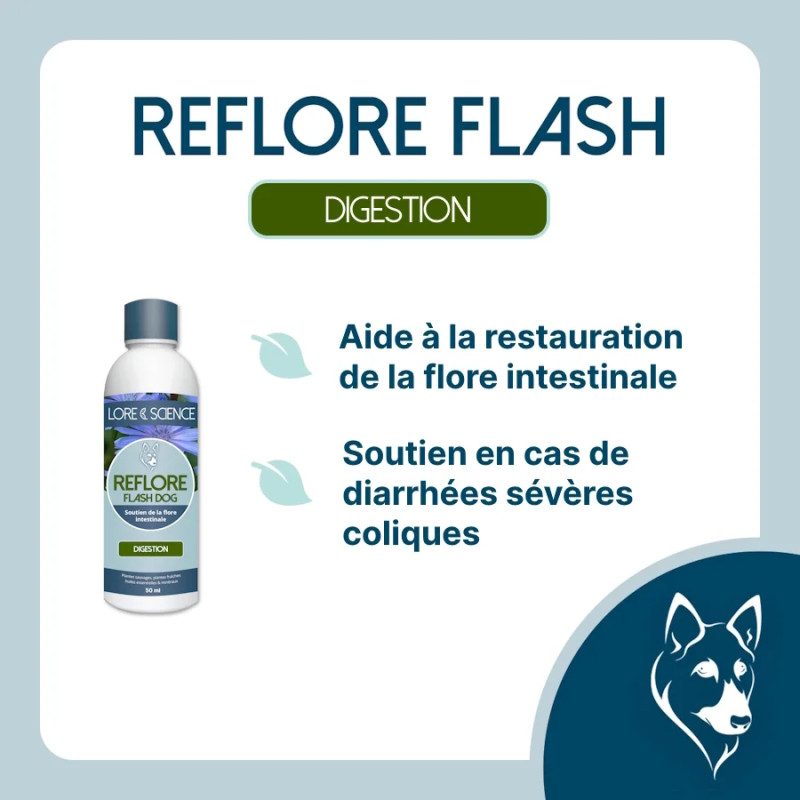 Reflore Flash Dog - Intestinal flora flash support for dogs - Lore & Science